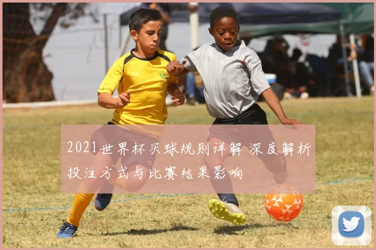 2021世界杯买球规则详解 深度解析投注方式与比赛结果影响