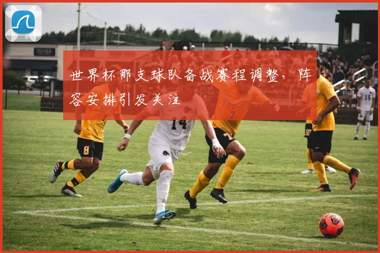 世界杯那支球队备战赛程调整,阵容安排引发关注