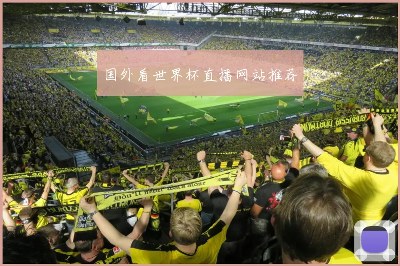 国外看世界杯直播网站推荐