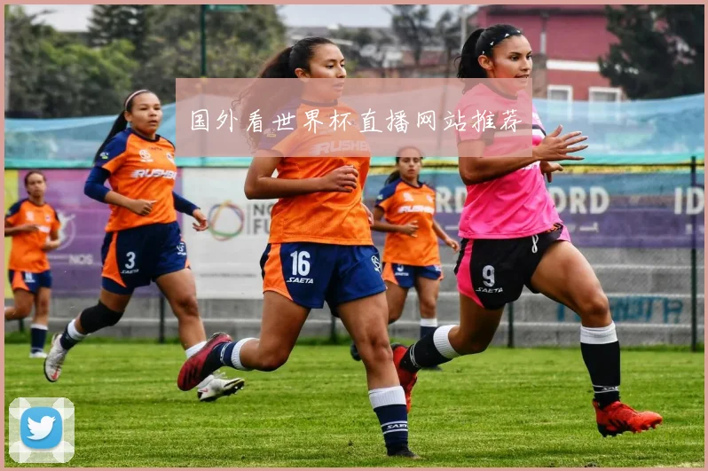 国外看世界杯直播网站推荐