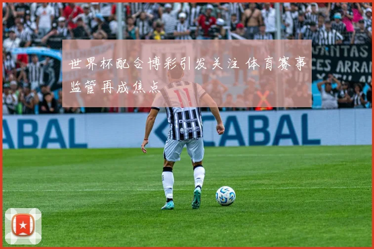 世界杯配合博彩引发关注 体育赛事监管再成焦点